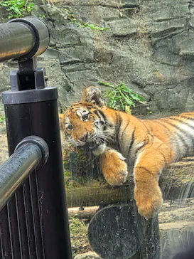 多摩動物公園に投稿された画像（2026/10/4）