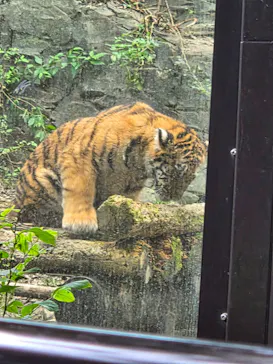多摩動物公園に投稿された画像（2026/10/4）
