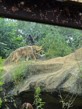 多摩動物公園に投稿された画像（2026/10/4）