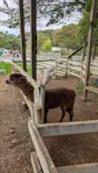 千葉市動物公園に投稿された画像（2026/10/4）