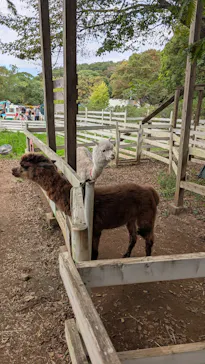 千葉市動物公園に投稿された画像（2026/10/4）