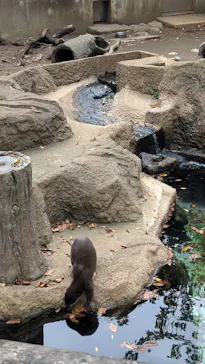 千葉市動物公園に投稿された画像（2026/10/4）