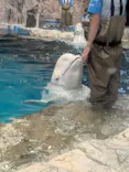 名古屋港水族館に投稿された画像（2026/10/4）