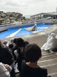 大分マリーンパレス水族館 「うみたまご」に投稿された画像（2026/10/4）