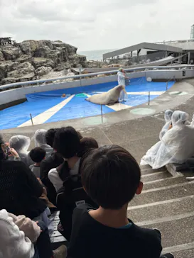 大分マリーンパレス水族館 「うみたまご」に投稿された画像（2026/10/4）