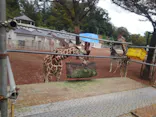 多摩動物公園に投稿された画像（2026/10/4）