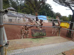 多摩動物公園に投稿された画像（2026/10/4）