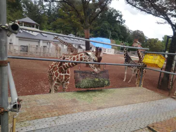多摩動物公園に投稿された画像（2026/10/4）