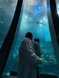 横浜・八景島シーパラダイスに投稿された画像（2026/10/4）