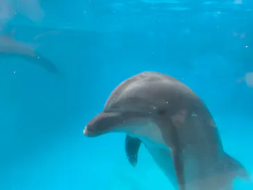 新江ノ島水族館に投稿された画像（2026/10/4）