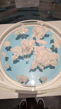 MINIATURE LIFE展2　田中達也 見立ての世界（北海道）に投稿された画像（2026/10/4）