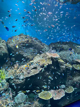 アクアワールド茨城県大洗水族館に投稿された画像（2026/10/4）