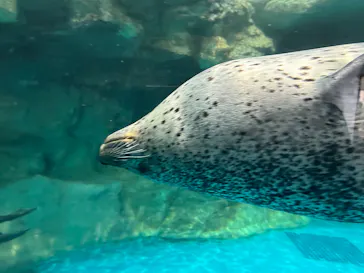 アクアワールド茨城県大洗水族館に投稿された画像（2026/10/4）