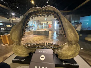 アクアワールド茨城県大洗水族館に投稿された画像（2026/10/4）