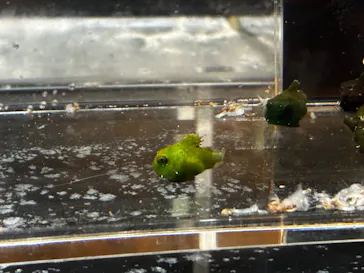 仙台うみの杜水族館に投稿された画像（2026/10/4）