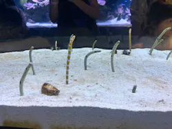 すみだ水族館に投稿された画像（2026/10/4）