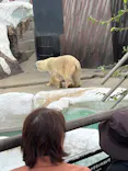 恩賜上野動物園に投稿された画像（2026/10/4）