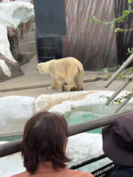 恩賜上野動物園に投稿された画像（2026/10/4）