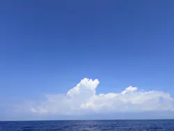釣り船　博栄丸に投稿された画像（2026/10/4）