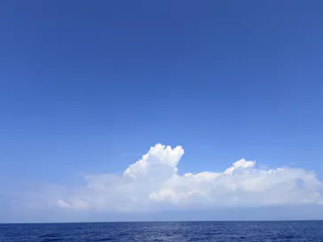 釣り船　博栄丸に投稿された画像（2026/10/4）