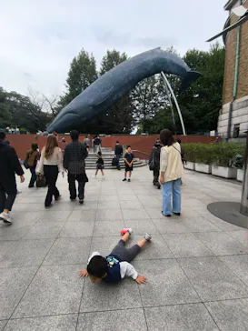 国立科学博物館に投稿された画像（2026/10/4）