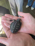 串本海中公園水族館に投稿された画像（2026/10/4）