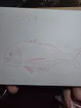 名古屋港水族館に投稿された画像（2026/10/4）