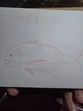 名古屋港水族館に投稿された画像（2026/10/4）