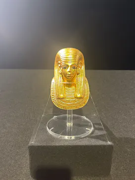 MYSTERY OF TUTANKHAMEN 体感型古代エジプト展に投稿された画像（2026/10/4）