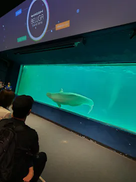鴨川シーワールドに投稿された画像（2026/10/4）