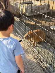 あらかわ遊園に投稿された画像（2026/10/4）