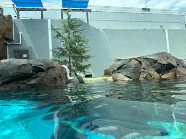 天王寺動物園に投稿された画像（2026/10/4）