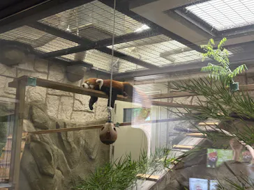 天王寺動物園に投稿された画像（2026/10/4）