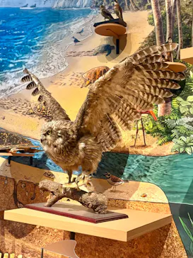 特別展「いきもの超ワールド展　国立科学博物館×ダーウィンが来た！」（国立科学博物館）に投稿された画像（2026/10/4）