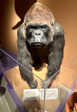 特別展「いきもの超ワールド展　国立科学博物館×ダーウィンが来た！」（国立科学博物館）に投稿された画像（2026/10/4）