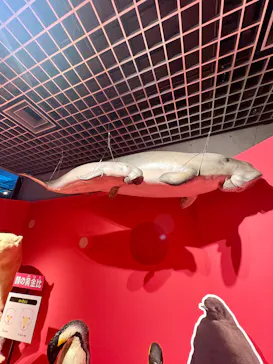 特別展「いきもの超ワールド展　国立科学博物館×ダーウィンが来た！」（国立科学博物館）に投稿された画像（2026/10/4）
