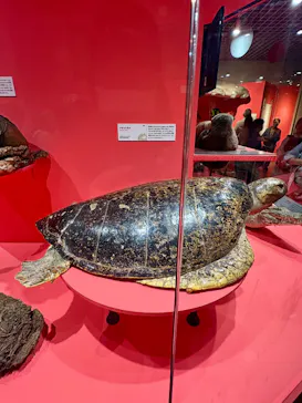 特別展「いきもの超ワールド展　国立科学博物館×ダーウィンが来た！」（国立科学博物館）に投稿された画像（2026/10/4）