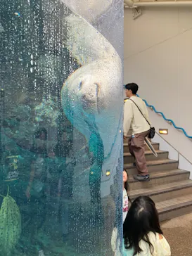 京都水族館に投稿された画像（2026/10/4）