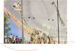 福井県立恐竜博物館に投稿された画像（2026/10/4）