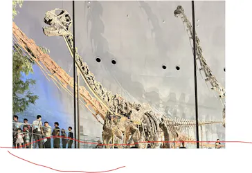 福井県立恐竜博物館に投稿された画像（2026/10/4）