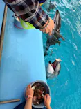 横浜・八景島シーパラダイスに投稿された画像（2026/10/4）