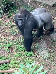 恩賜上野動物園に投稿された画像（2026/10/4）