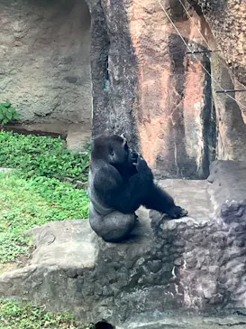 恩賜上野動物園に投稿された画像（2026/10/4）