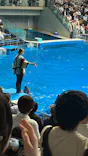 マクセル アクアパーク品川に投稿された画像（2026/10/5）