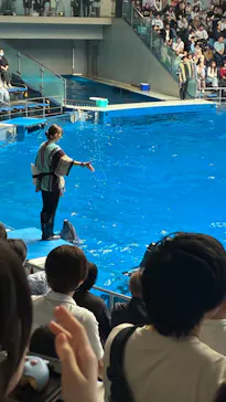 マクセル アクアパーク品川に投稿された画像（2026/10/4）