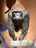 特別展「いきもの超ワールド展　国立科学博物館×ダーウィンが来た！」（国立科学博物館）に投稿された画像（2026/10/5）