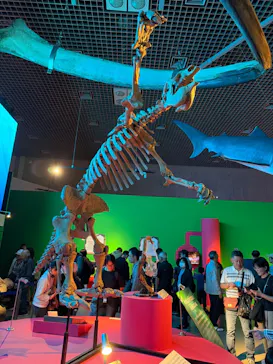 特別展「いきもの超ワールド展　国立科学博物館×ダーウィンが来た！」（国立科学博物館）に投稿された画像（2026/10/4）