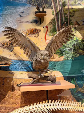 特別展「いきもの超ワールド展　国立科学博物館×ダーウィンが来た！」（国立科学博物館）に投稿された画像（2026/10/4）