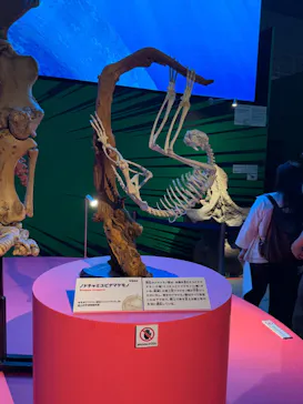 特別展「いきもの超ワールド展　国立科学博物館×ダーウィンが来た！」（国立科学博物館）に投稿された画像（2026/10/4）