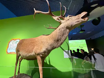 特別展「いきもの超ワールド展　国立科学博物館×ダーウィンが来た！」（国立科学博物館）に投稿された画像（2026/10/4）
